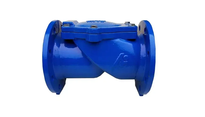 Léigh tuilleadh faoi Check Valve Assy